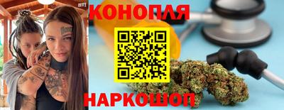 индика Апшеронск